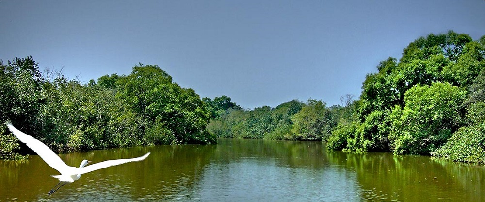 A Comprehensive Guide to Bhitarkanika National Park Tour Booking